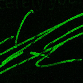Signature 2: characteristic SIMS signals: analysis of different inks on paper